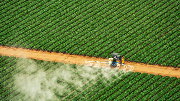 Trusted Fords Prairie, WA Pest Control Experts